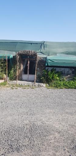 عکس 3 — بازار گل و گیاه فکوری