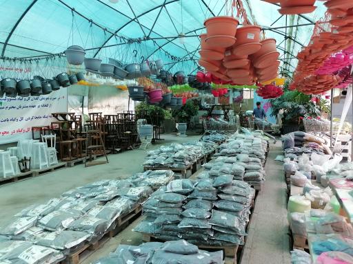 عکس 6 — بازار گل و گیاه فکوری