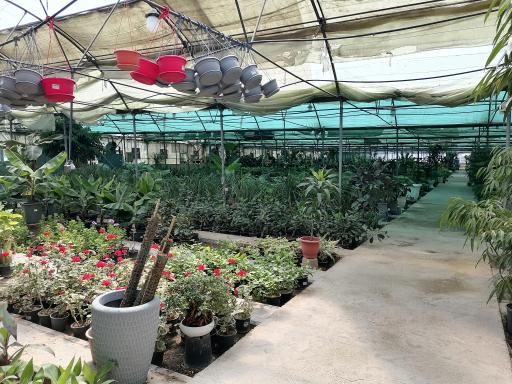 عکس 8 — بازار گل و گیاه فکوری