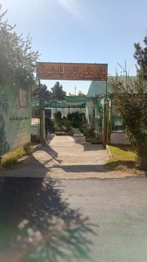 عکس 2 — بازار دائمی گل و گیاه قم