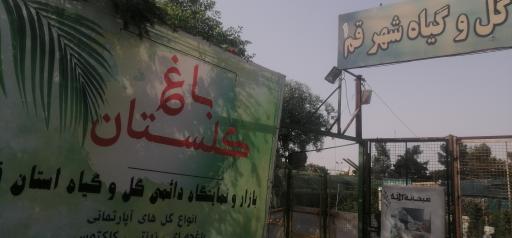 عکس 4 — بازار دائمی گل و گیاه قم