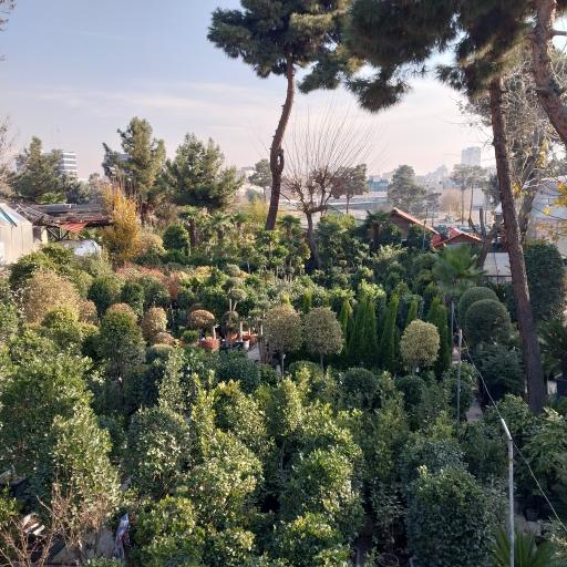 عکس 8 — باغ گل رضوان