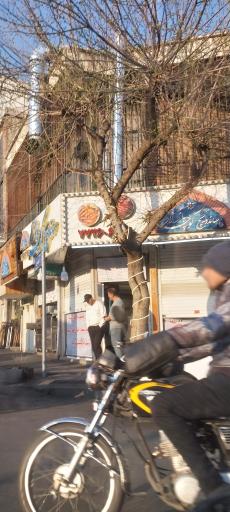 ساندویچ کوچه بازار