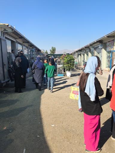 عکس 4 — بازار پرندگان خلیج فارس