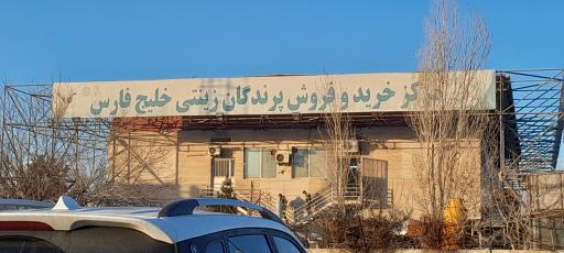 عکس 8 — بازار پرندگان خلیج فارس