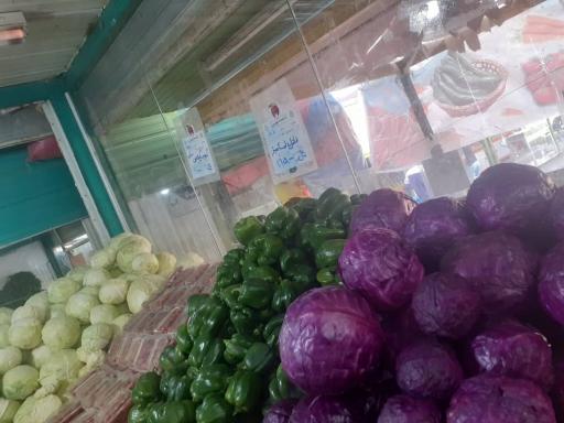عکس 4 — بازار میوه و تره بار امید دژبان