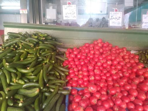 عکس 7 — بازار میوه و تره بار امید دژبان