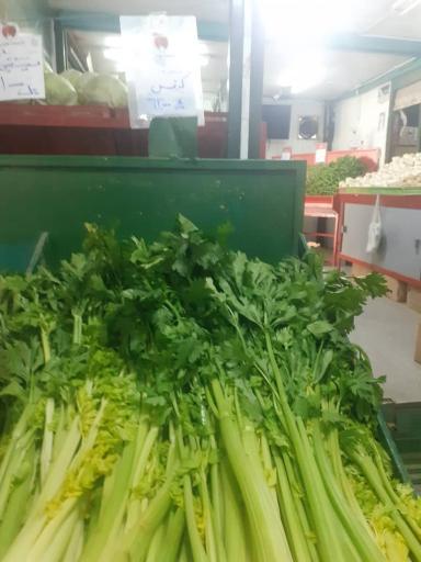 عکس 9 — بازار میوه و تره بار امید دژبان
