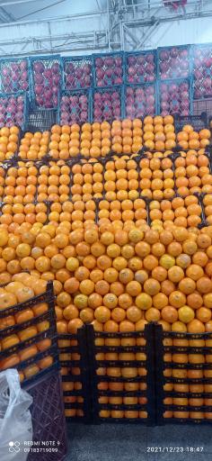 عکس 9 — بازار روز میوه و تره بار جنت آباد