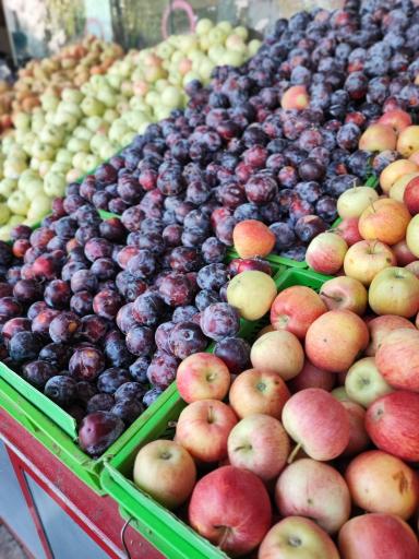 عکس 7 — میدان میوه و تره بار سهروردی