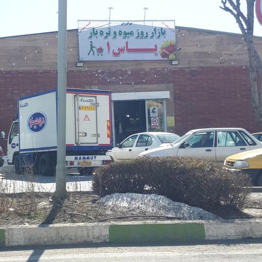 عکس 9 — بازار میوه و تره بار یاس یک