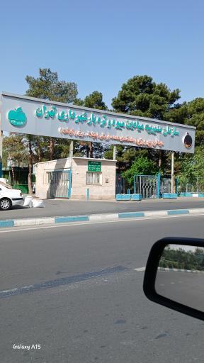 بازار تره بار دوران