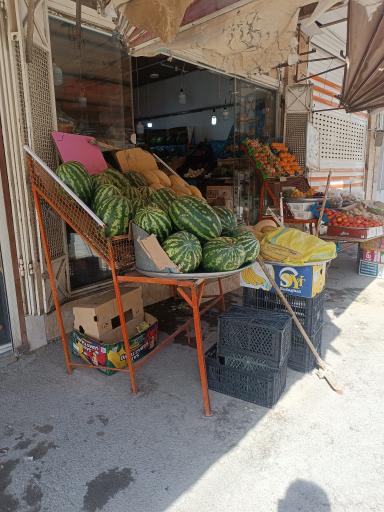 میوه و سبزی ساحل