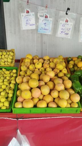 بازار میوه و تره بار شیخ صدوق