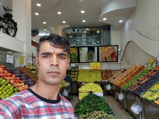 عکس 10 — میوه و تره بار شاهد