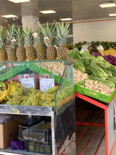 عکس 3 — بازار روز علیخانی