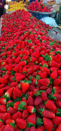 عکس 10 — پنجشنبه بازار کلاچای