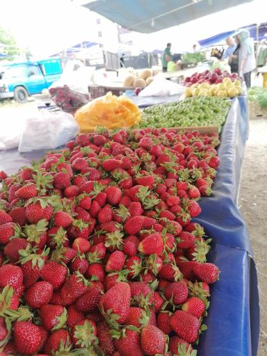 عکس 8 — پنجشنبه بازار کلاچای