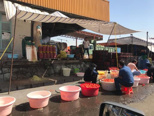 عکس 2 — میدان مرکزی میوه و تره بار تهران فاز دو