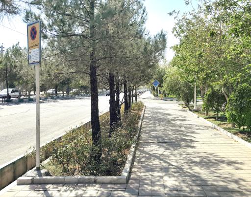 دهلاویه