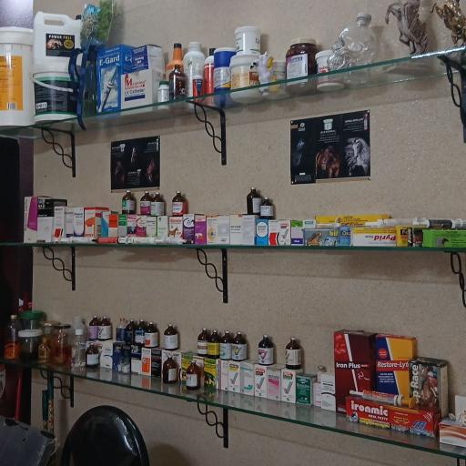 عکس 3 — کلینیک اسب اسپهان