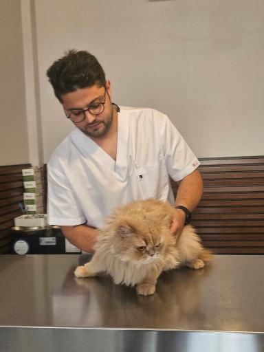 کلینیک تخصصی دامپزشکی دکتر بهزاد شفیعی