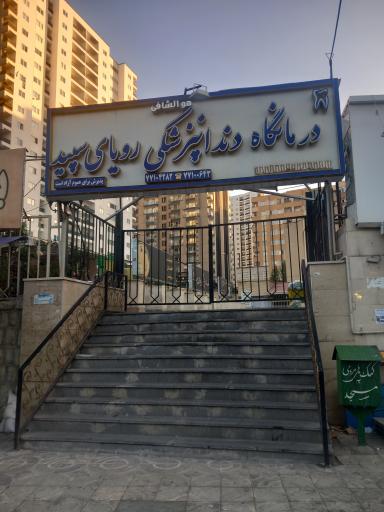 دندانپزشکی رویای سپید
