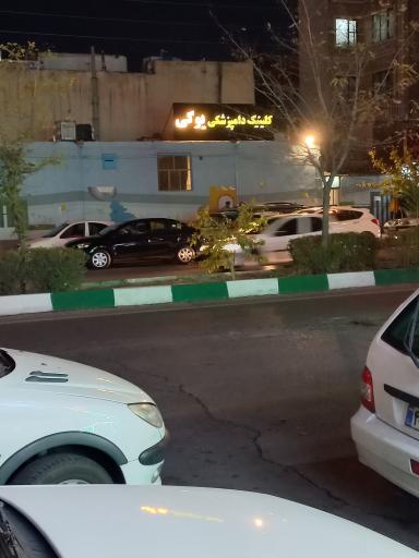 کلینیک دامپزشکی یوگی