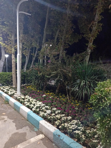 عکس 7 — باشگاه شماره 1 رستوران شهرداری (مخصوص کارمندان شهرداری)