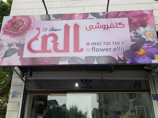 گلفروشی الی