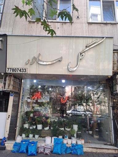 گل مادر