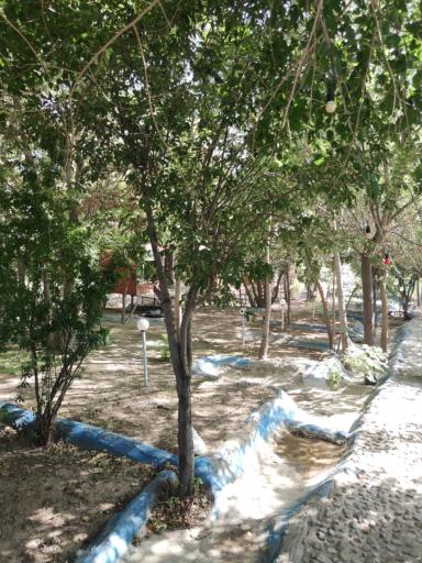 عکس 9 — باغ رستوران شبهای لرستان