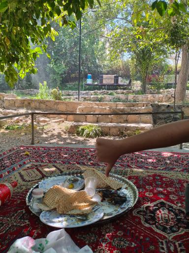 ماهی کباب خورانی