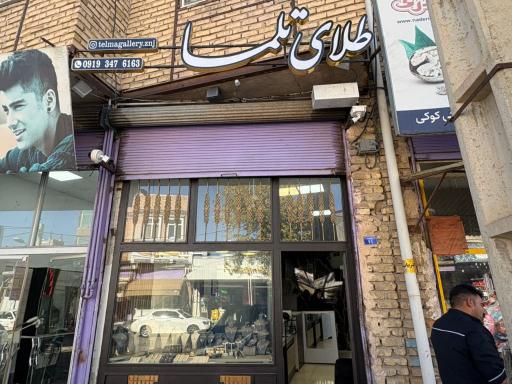 طلای تلما