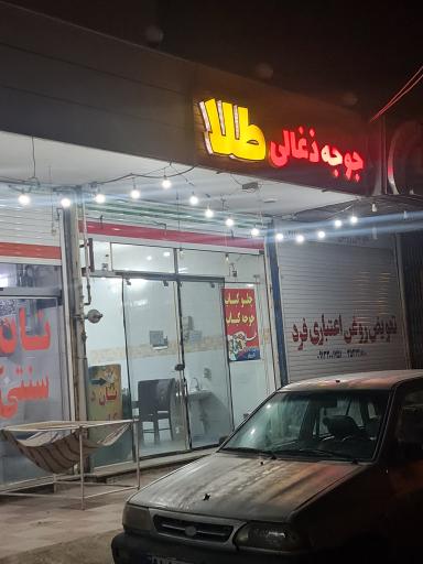 عکس 1 — جوجه طلا