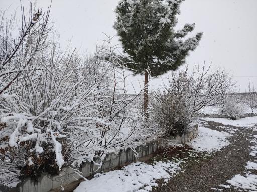عکس 8 — خانه مسافر و مجتمع اقامتی نوبهاری