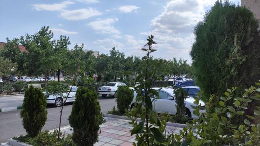 عکس 4 — زائر سرای رضوی