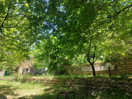 عکس 3 — بومگردی عمو دهقان