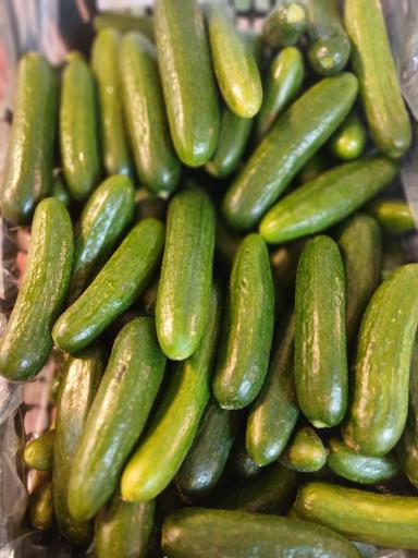 عکس 6 — بازارچه میوه و تره بار بلوط