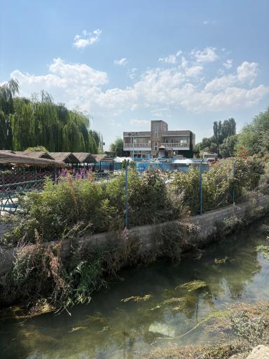 کباب ماهی گلستانی
