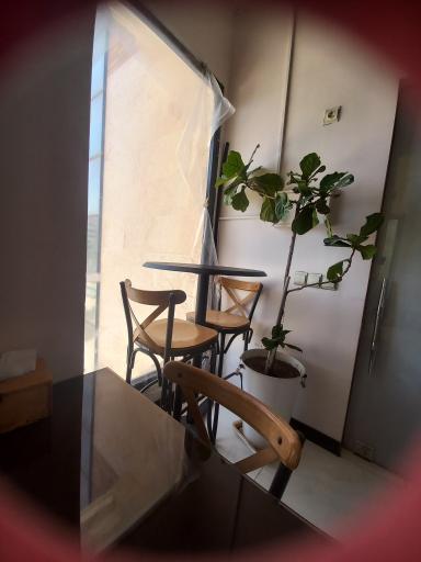 عکس 1 — فست فود ارس