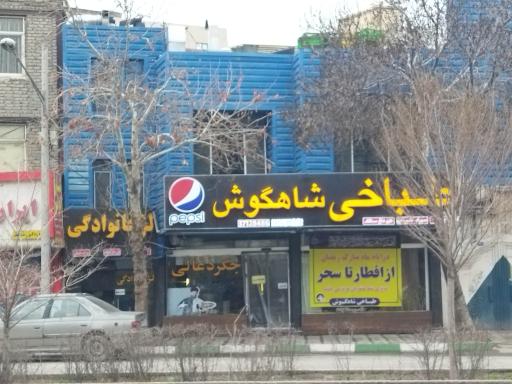عکس 4 — طباخی شاهگوش