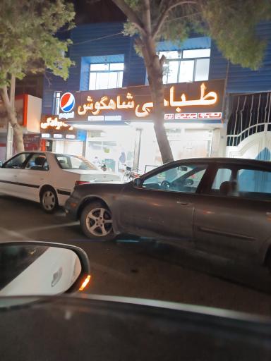 عکس 8 — طباخی شاهگوش