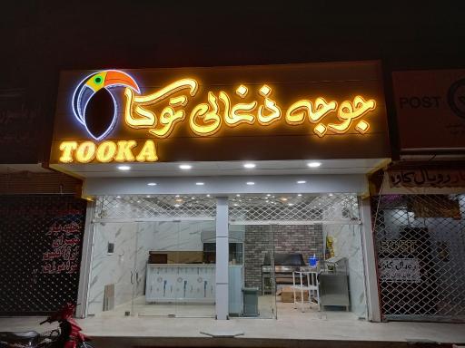 عکس 1 — جوجه ذغالی توکا
