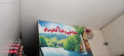 عکس 2 — غذای فانوس