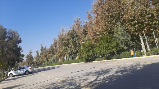 عکس 5 — رستوران و تالار باغ فردوس