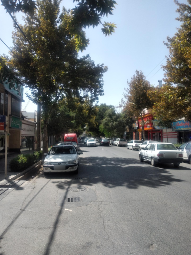 عکس 8 — خانه کباب منصوری 1