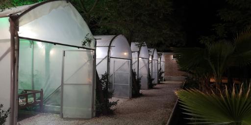 عکس 6 — رستوران سرای زیتون