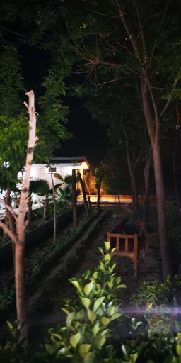 عکس 7 — رستوران سرای زیتون