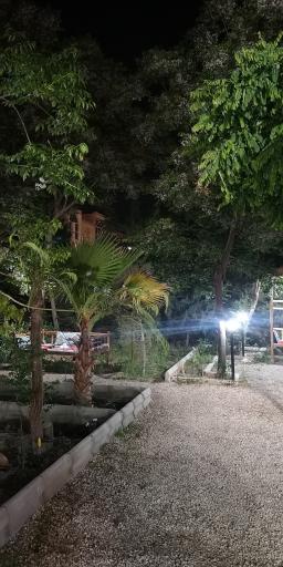 عکس 8 — رستوران سرای زیتون
